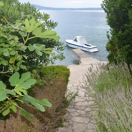 Beach Pensión Klenovica